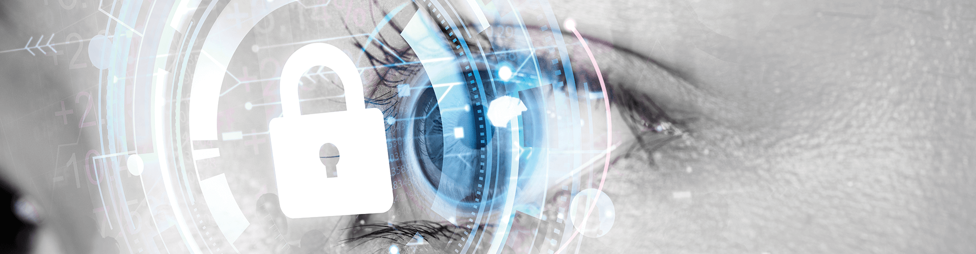 Network Automation Tools